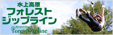 フォレストジップライン