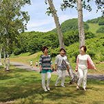 白樺林の散策路