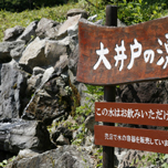 大井戸の湧水