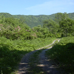 須原トレッキングコース