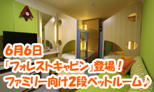 �t�H���X�g�L���r��