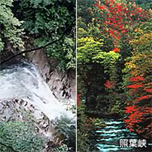 照葉（てりは）峡