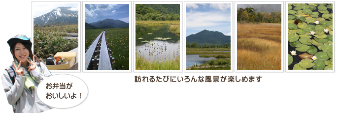 季節によって表情を変える「尾瀬ヶ原」&「尾瀬に住む生き物たち」フォトコレクション3