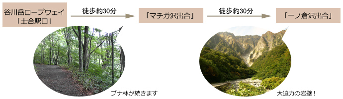 一ノ倉沢」を森林浴を楽しみながら見に行くなら！（片道約1時間）