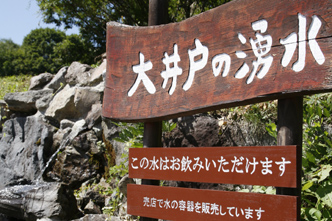 大井戸の湧水