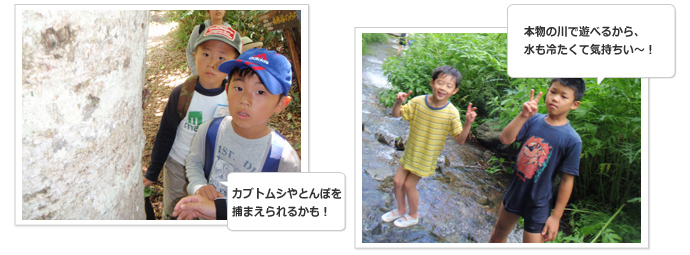 カブトムシやとんぼを捕まえられるかも！