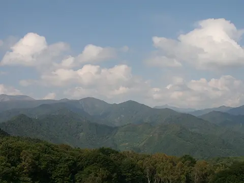 グリーンシーズン（上層階客室）西側