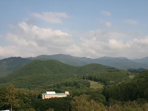 グリーンシーズン（中層階客室）北西側