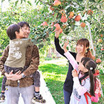 フルーツ狩りプラン販売開始!パフェつくり・お土産付!