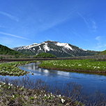 【尾瀬の旅】1泊2食+お弁当･お水付♪ 尾瀬の玄関口「鳩待峠」への送迎バス付2日間