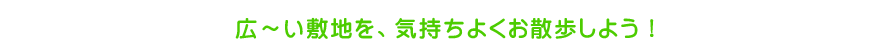 広～い敷地を、気持ちよくお散歩しよう！