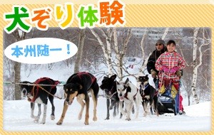 犬ぞり体験ﾊﾞﾅｰ