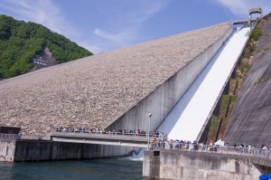 ならまた放流