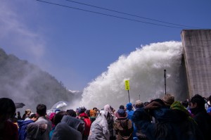 矢木沢放流