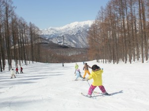 minakamikogenskiresort-sn