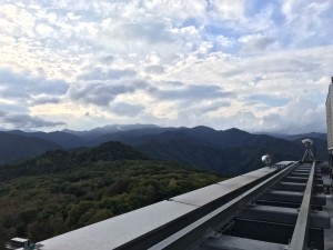 S__84156421