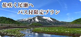 バス付限定プラン