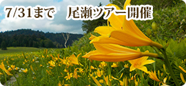 ～7/31　尾瀬ツアー開催