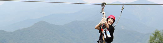 Forest Ziplining