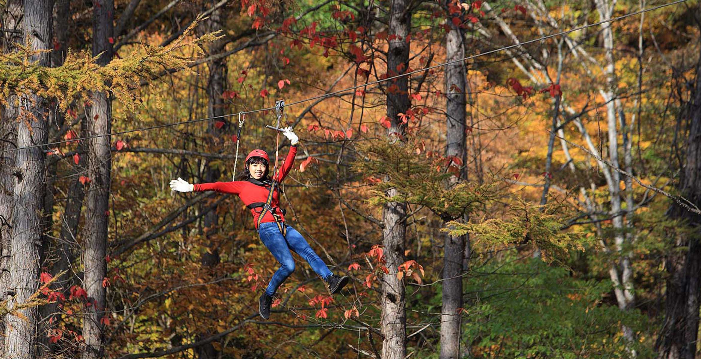 forest_zipline