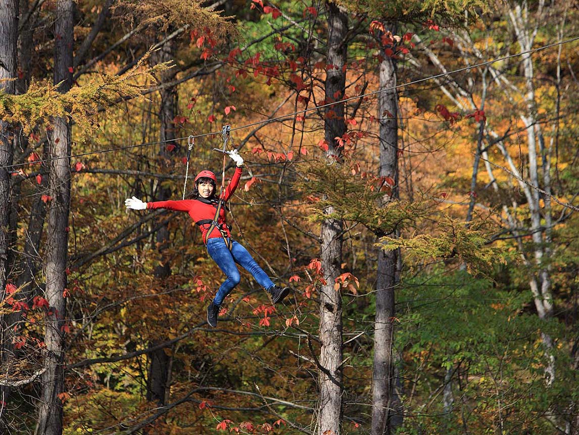 Minakami Kogen Forest Zipline