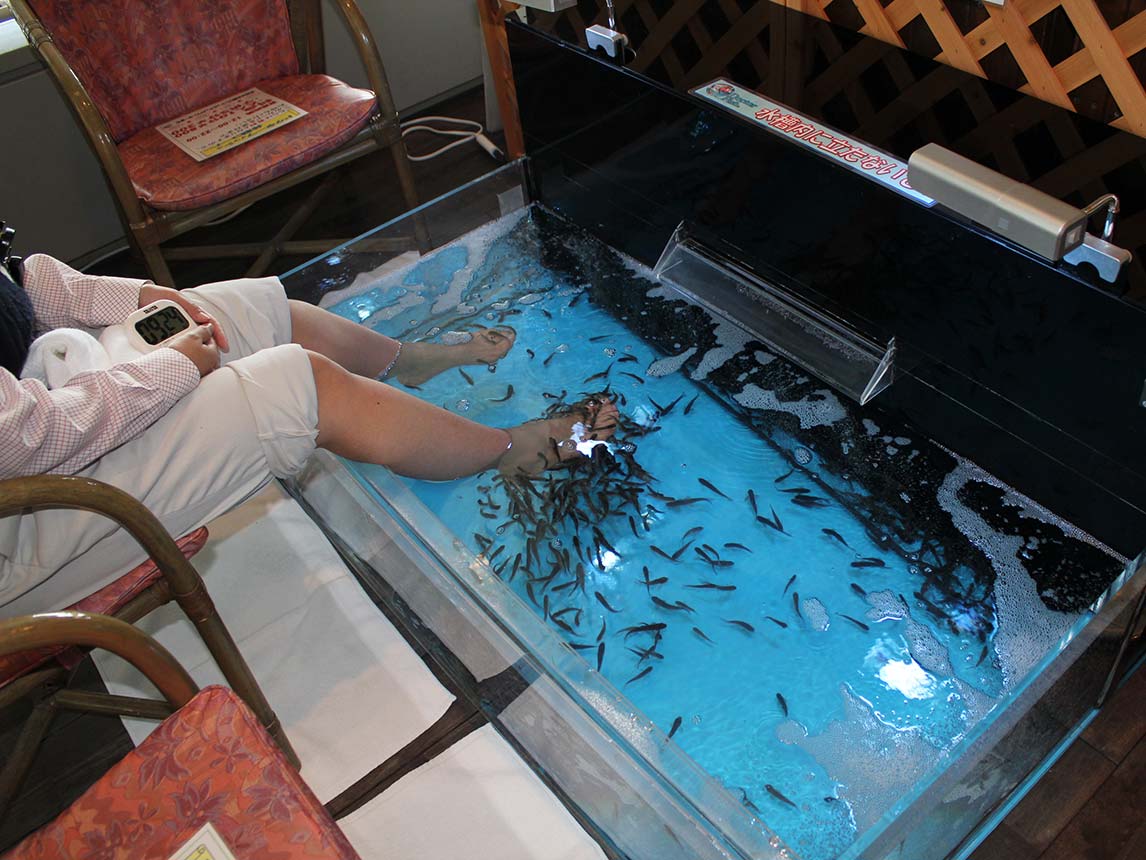 Doctor Fish