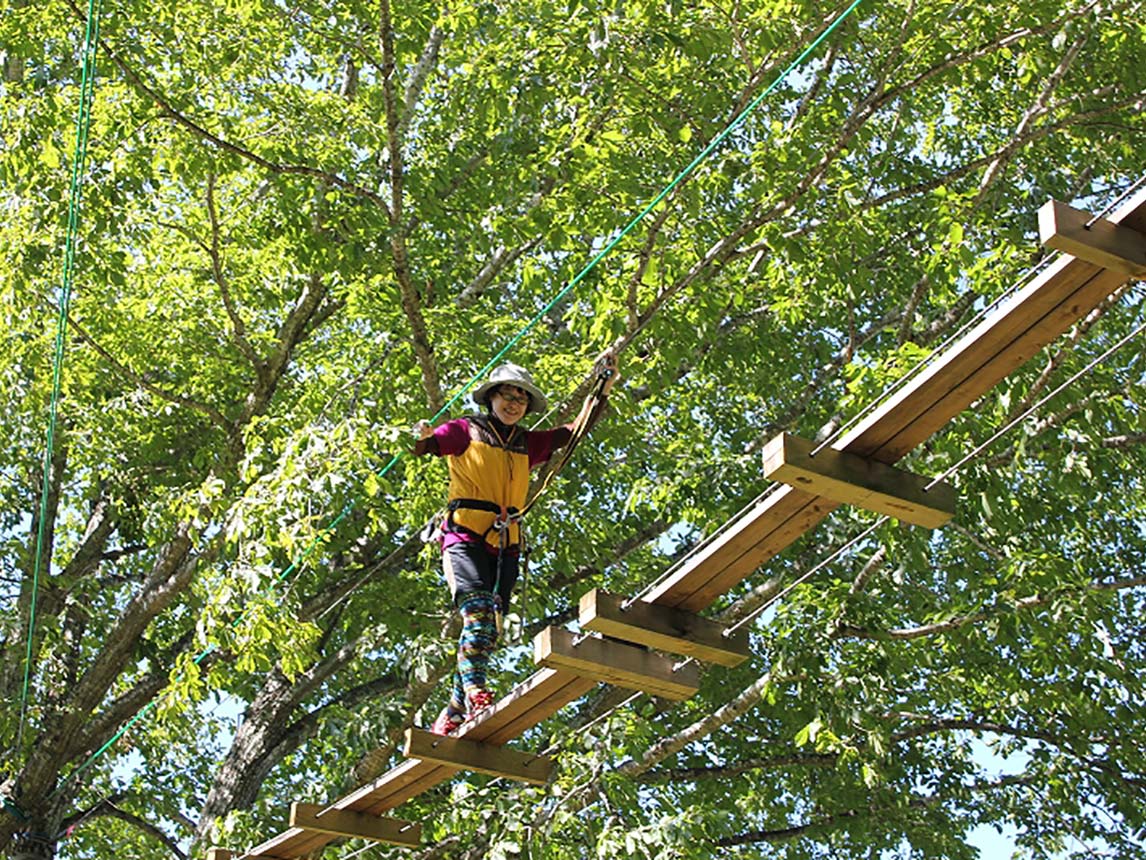 Treetop Trekking