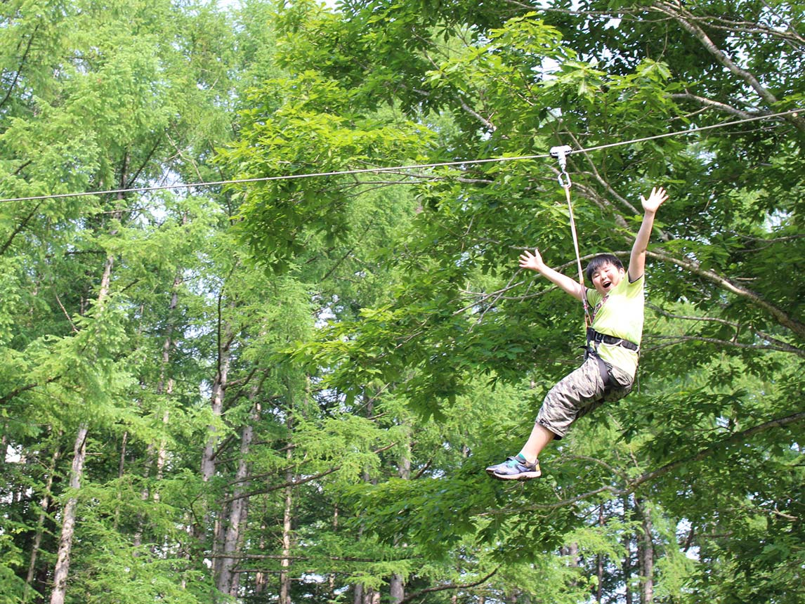 Treetop Trekking