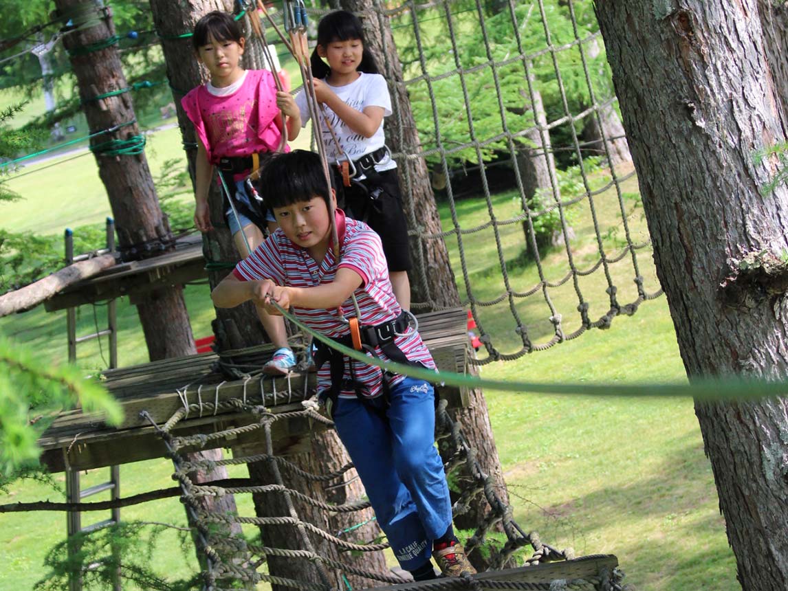 Treetop Trekking