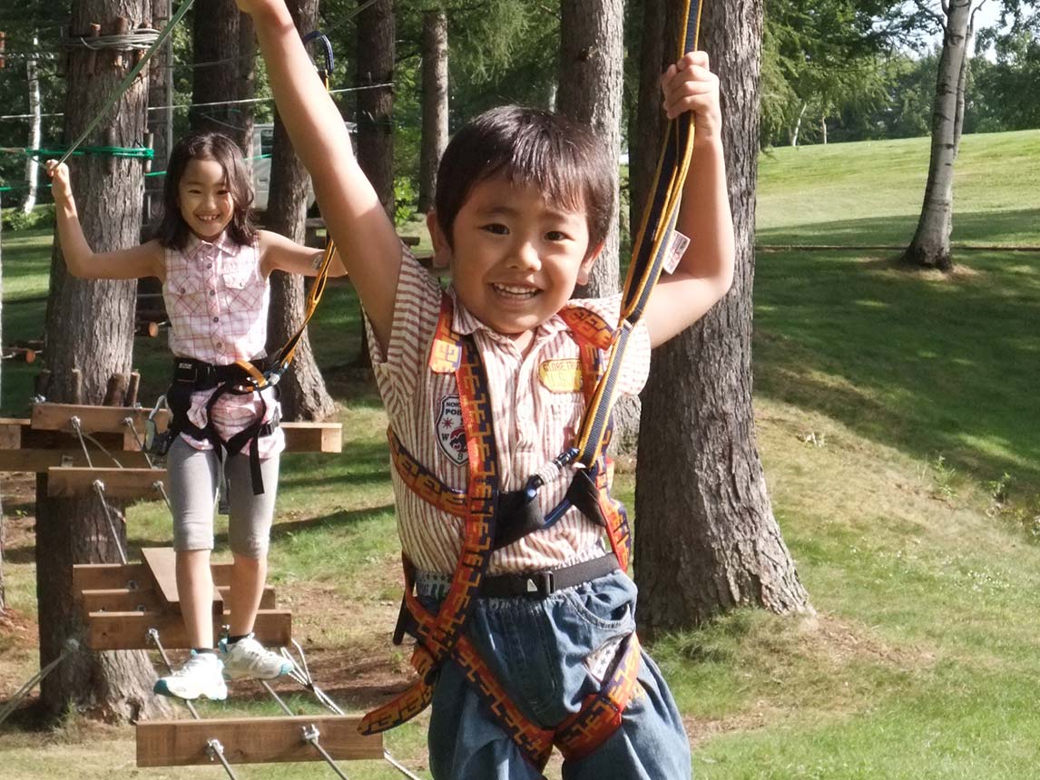 Treetop Trekking