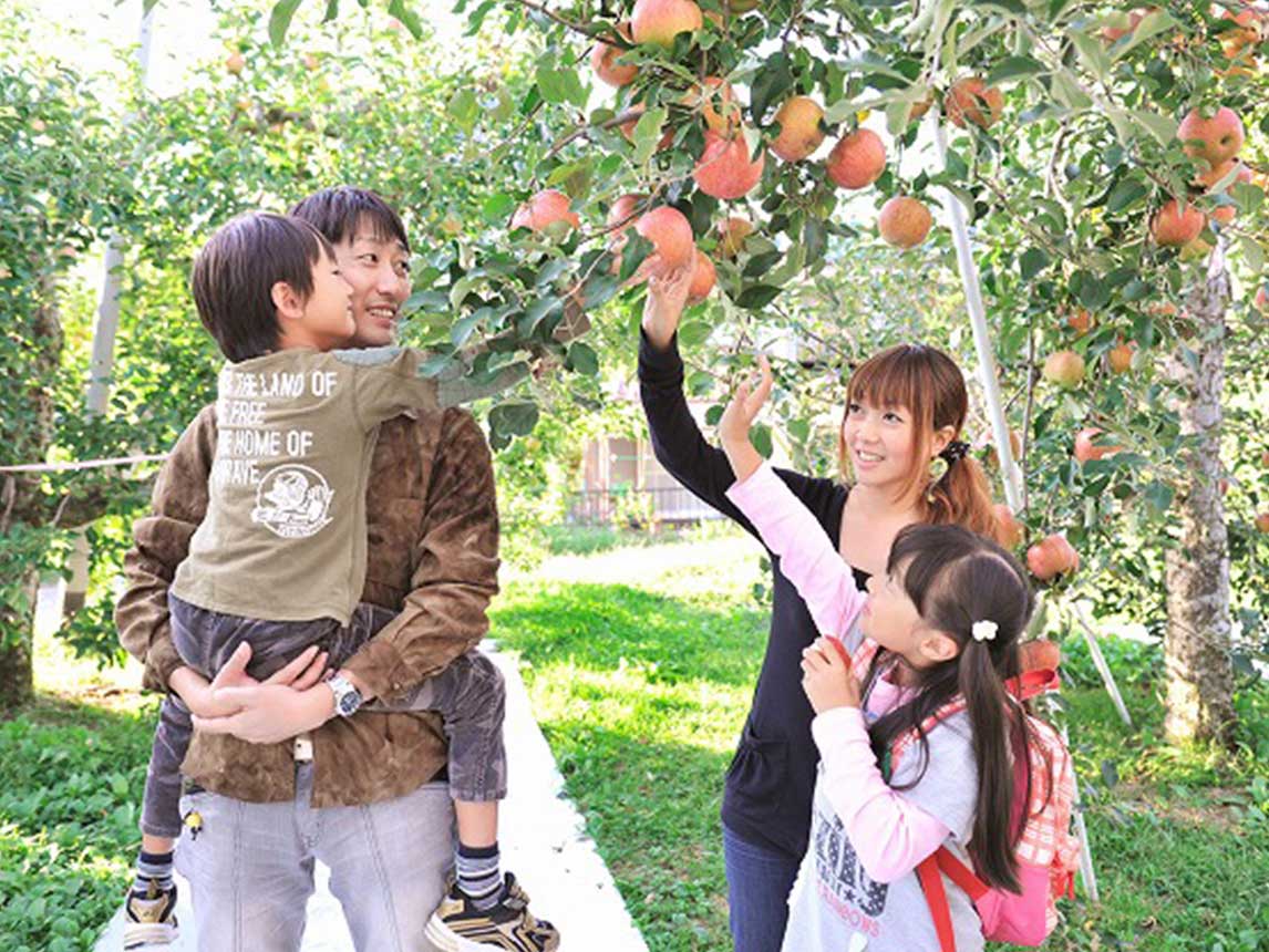 Fruit Picking