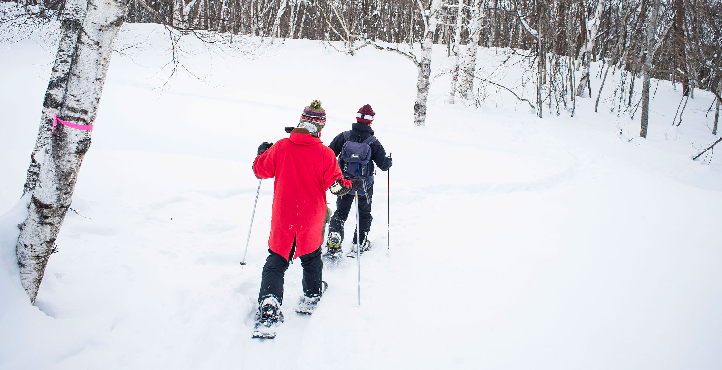 Snowshoeing