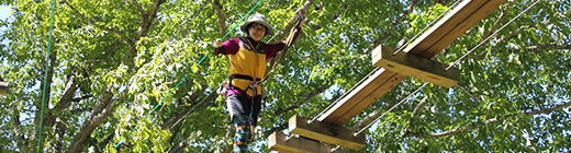 Treetop Trekking