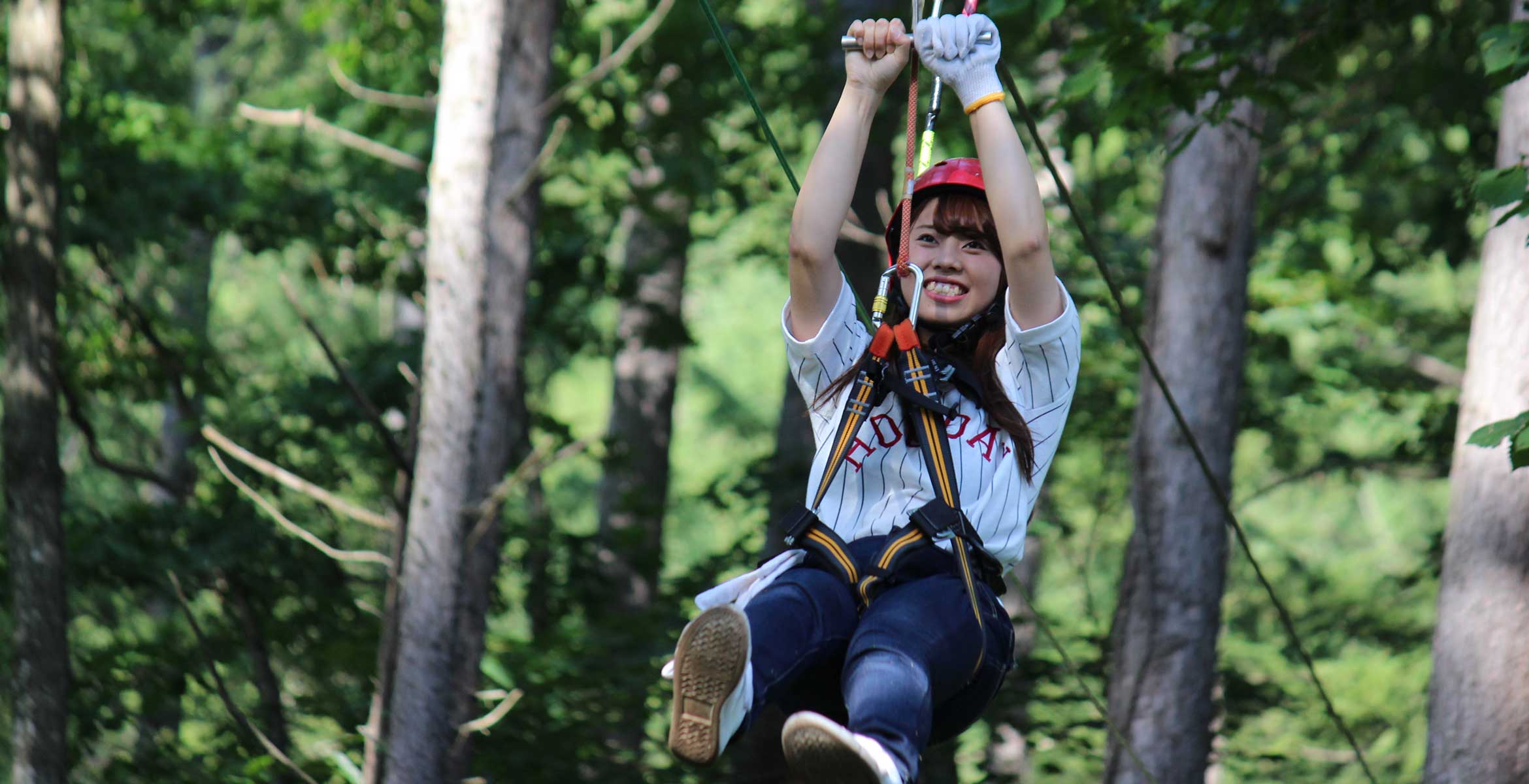 forest_zipline