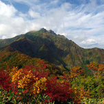 谷川岳・諏訪峡紅葉バスツアー開催!