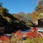 「谷川岳・諏訪峡紅葉バツスアー」紅葉の移り変わりを満喫！