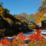 紅葉散策★「諏訪峡」ツアー