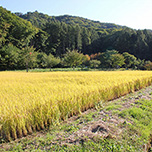 10月1日より、冬のご宿泊プランご予約受付開始！