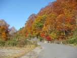 2011年10月14日　照葉峡