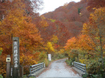 2011年10月15日　照葉峡