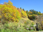 2013年10月11日　水源の森～照葉峡付近