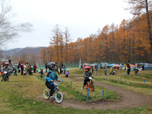 2014年11月9日　ストライダー大会