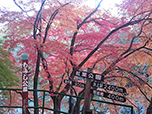 2015年11月5日　水上IC近くの「諏訪峡」「紅葉公園」