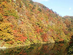 2018年10月30日　「藤原湖」