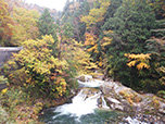 2019年10月24日「照葉峡」