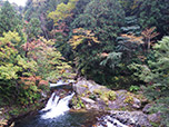 2020年10月14日「照葉峡」