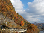 2020年11月8日「藤原湖」