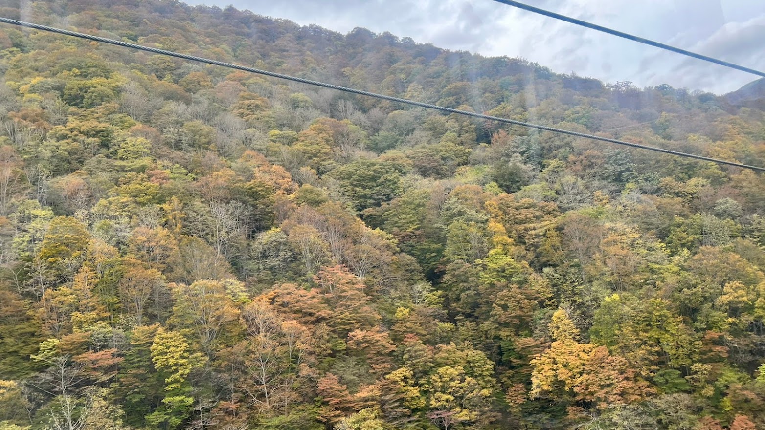 2021年10月27日「谷川岳ロープウエイ」