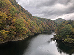 2021年10月29日「藤原湖」周辺