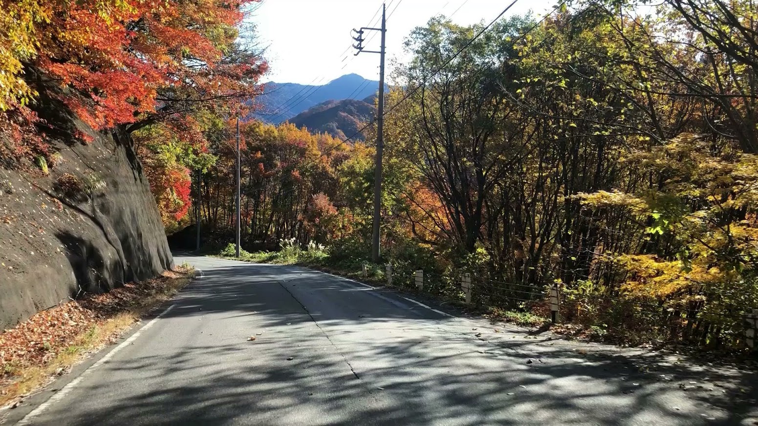 2022年11月4日「藤原トンネル出口付近」